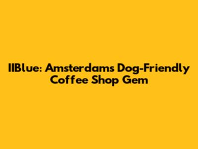IIBlue: Amsterdam's Dog-Friendly Coffee Shop Gem