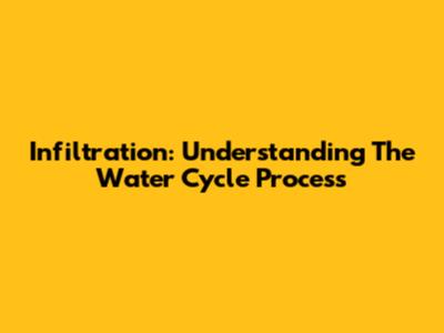 Infiltration: Understanding The Water Cycle Process