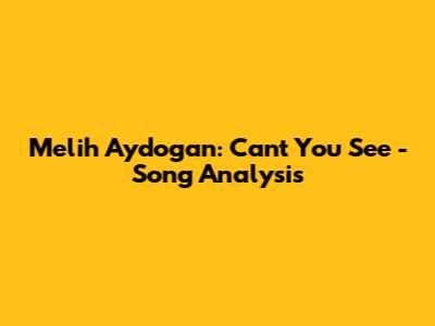 Melih Aydogan: Can't You See - Song Analysis