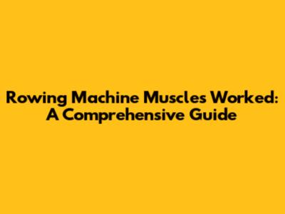 Rowing Machine Muscles Worked: A Comprehensive Guide