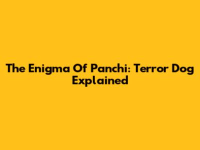 The Enigma Of Panchi: Terror Dog Explained