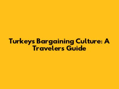 Turkey's Bargaining Culture: A Traveler's Guide